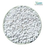 Lightweight white volcanic perlite granules mixed with dark potting soil.