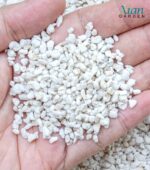Lightweight white volcanic perlite granules mixed with dark potting soil.