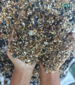 Premium, fast-draining succulent soil mix with perlite, pumice, and coco coir.