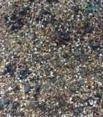 Premium, fast-draining succulent soil mix with perlite, pumice, and coco coir.