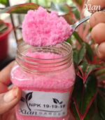 Packet of water soluble NPK 19-19-19 Fertilizer for indoor plants.