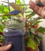 Mixing granules into soil for Granular Soil Protection.