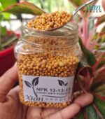 Osmocote 13-13-13 slow-release plant fertilizer granules in a package.