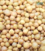 Osmocote 13-13-13 slow-release plant fertilizer granules in a package.