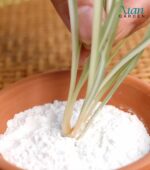 Applying powder to propagate plants fast.