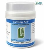 Using Root Hormone to propagate indoor plants fast.