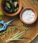 Tools needed to propagate indoor plants.