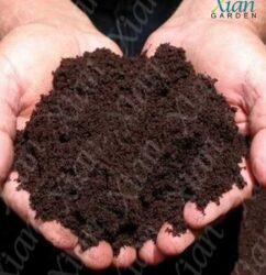 Using organic vermicompost fertilizer in a flower pot.